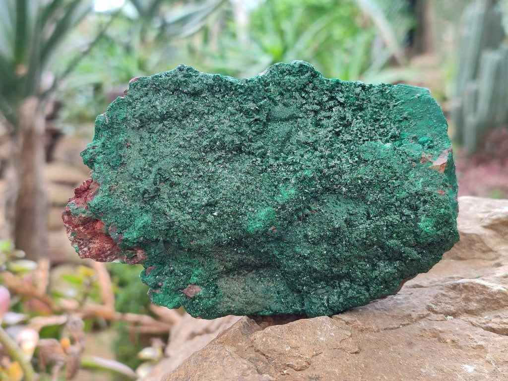 Natural Crystalline Malachite Specimens x 2 From Tenke Fungurume, Congo - Toprock Gemstones and Minerals 