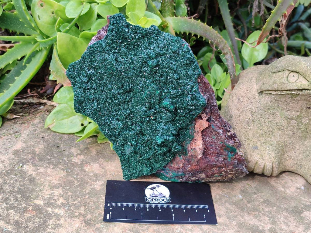 Natural Crystalline Malachite Specimens x 2 From Tenke Fungurume, Congo - Toprock Gemstones and Minerals 