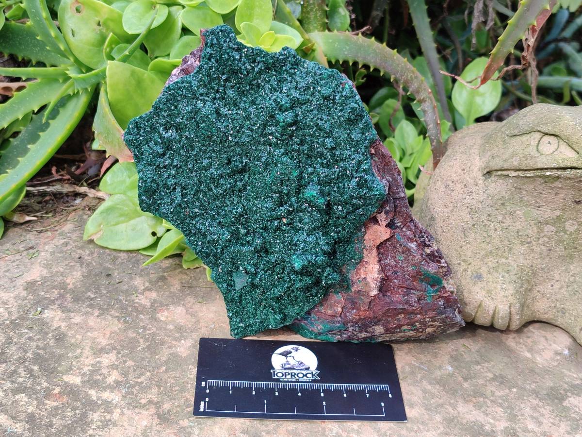Natural Crystalline Malachite Specimens x 2 From Tenke Fungurume, Congo - Toprock Gemstones and Minerals 