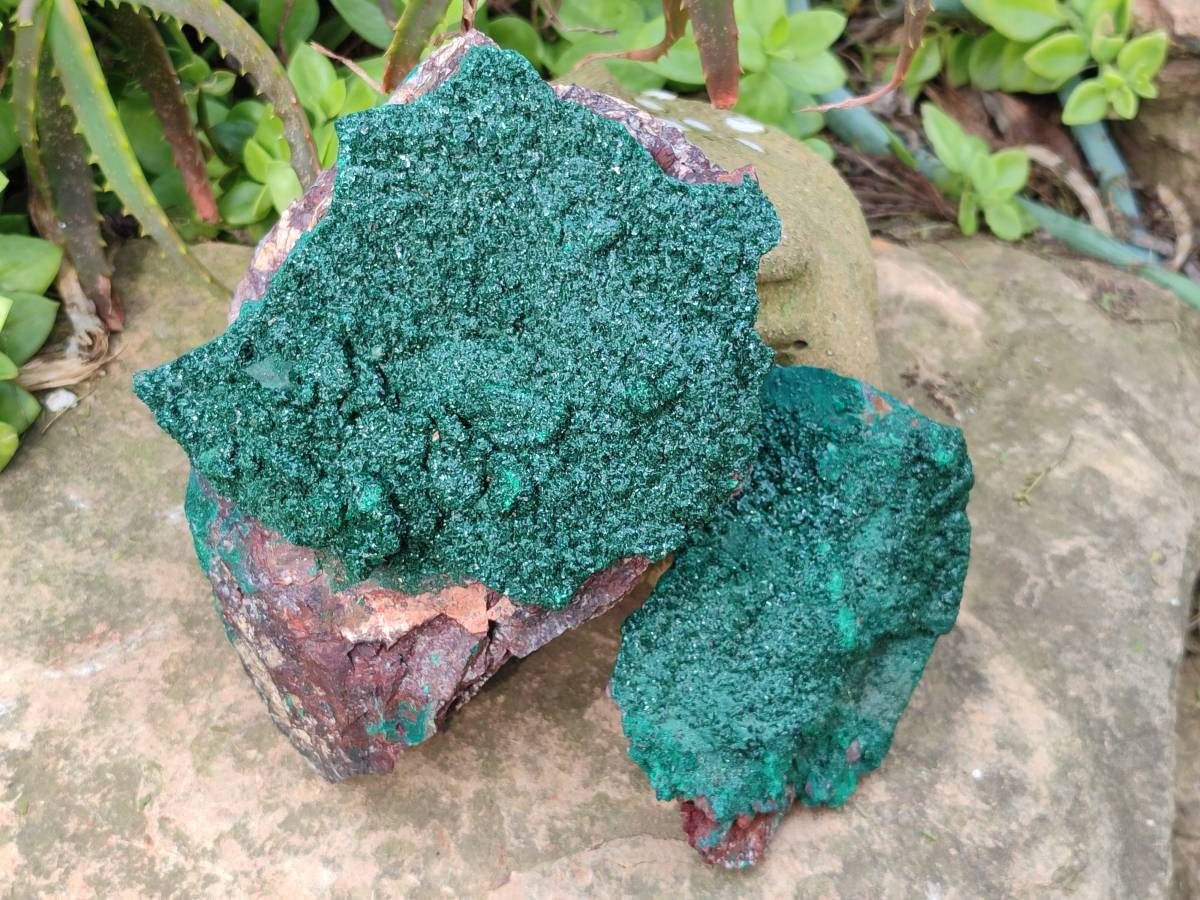 Natural Crystalline Malachite Specimens x 2 From Tenke Fungurume, Congo - Toprock Gemstones and Minerals 