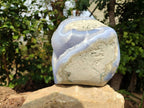Polished Blue Lace Agate Standing Free Form x 1 From Malawi - Toprock Gemstones and Minerals 