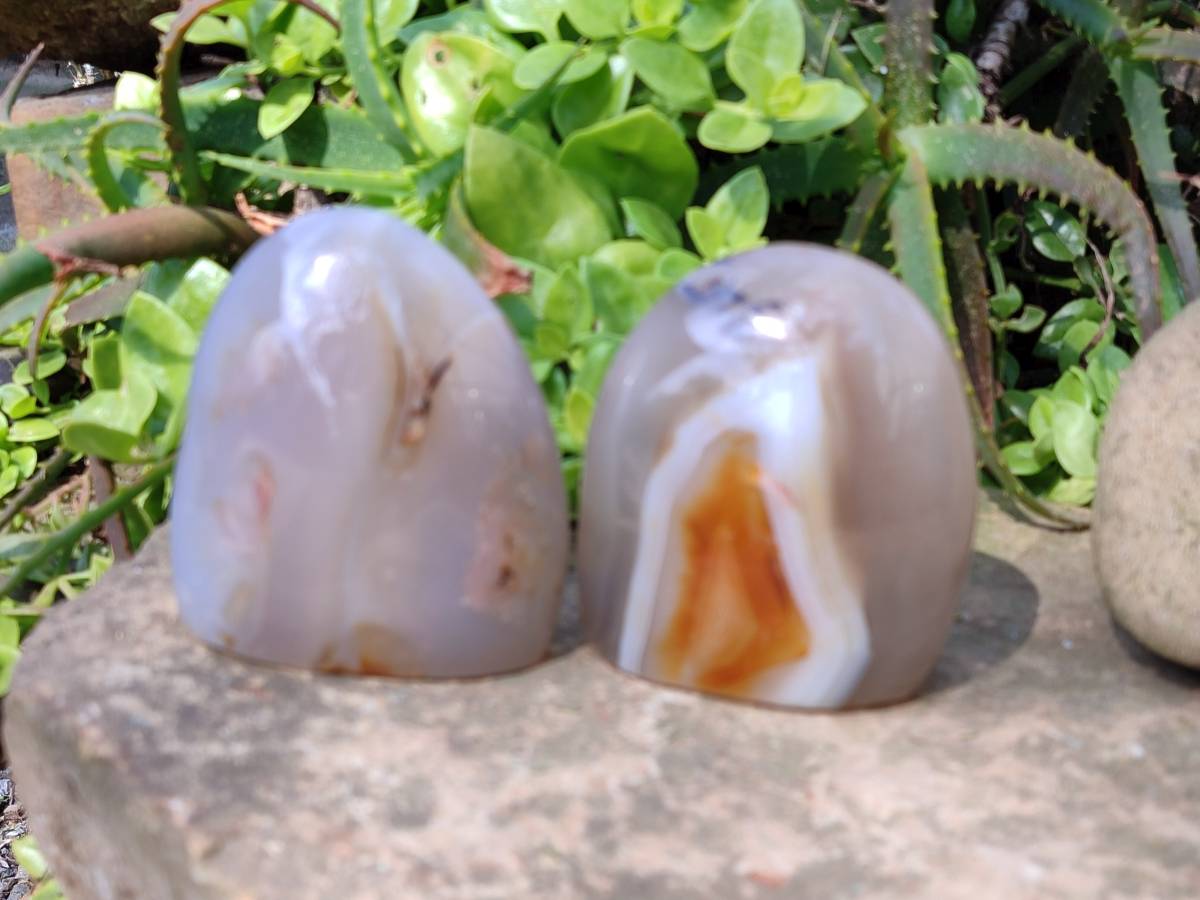 Polished Agate Standing Free Forms x 4 From Madagascar - Toprock Gemstones and Minerals 
