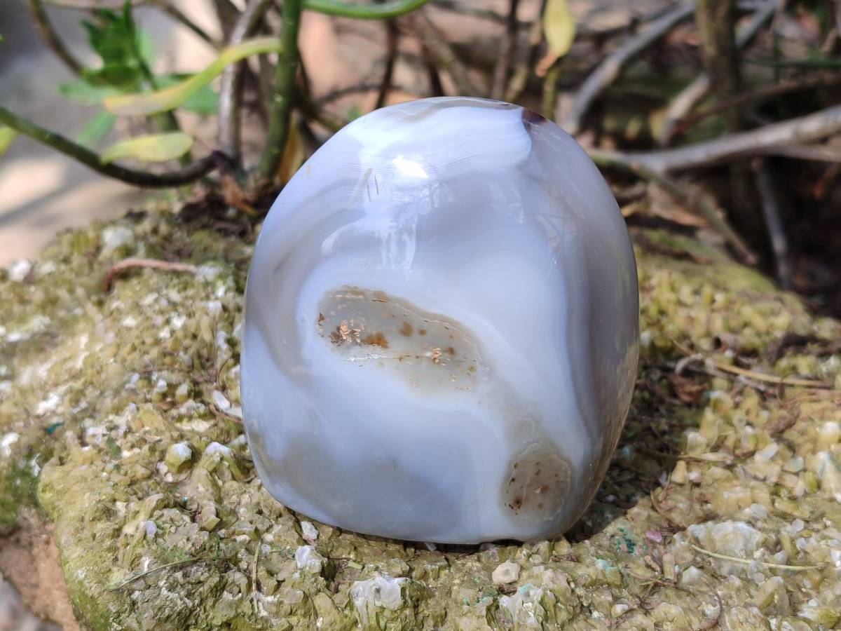 Polished Agate Standing Free Forms x 4 From Madagascar - Toprock Gemstones and Minerals 