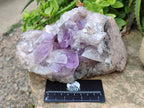 Natural Jacaranda Amethyst Geode x 1 From Zambia - Toprock Gemstones and Minerals 