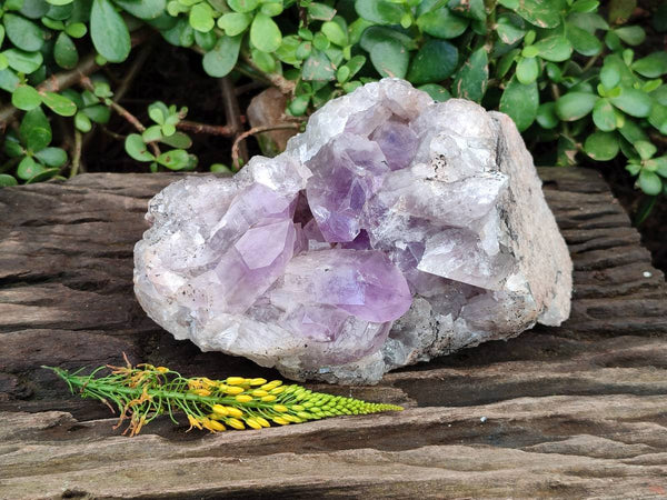 Natural Jacaranda Amethyst Geode x 1 From Zambia - Toprock Gemstones and Minerals 