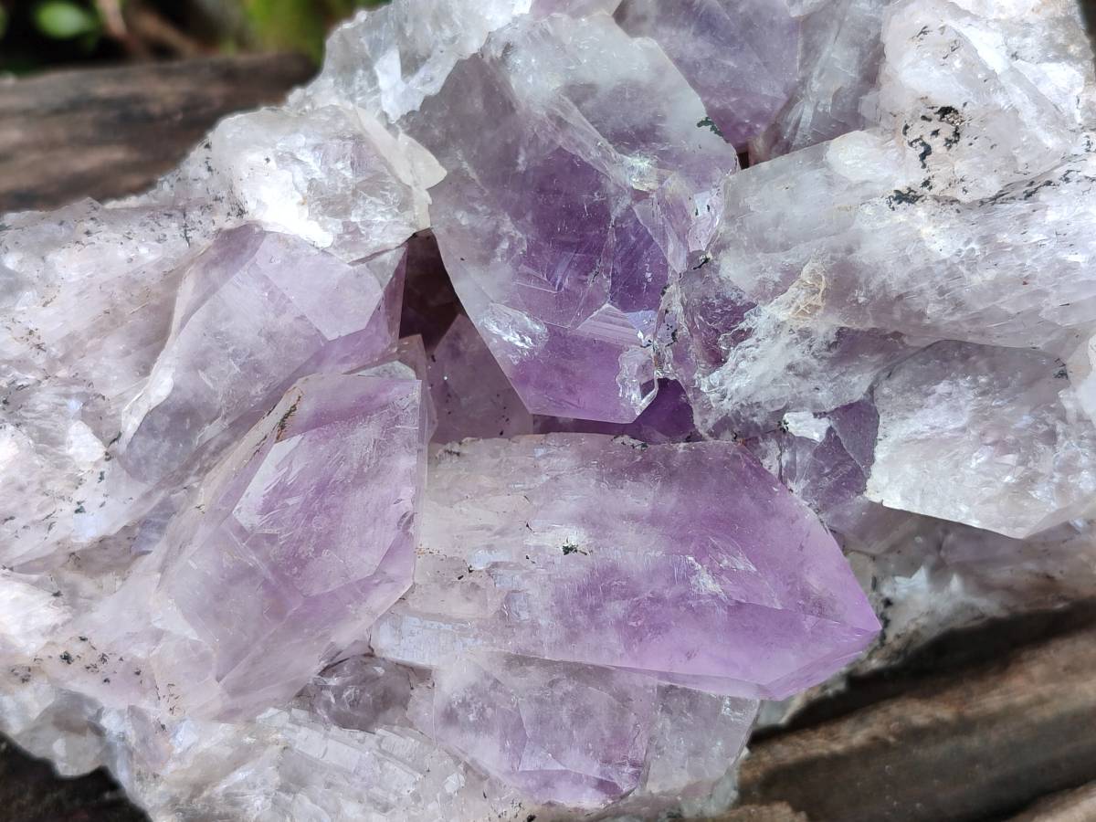 Natural Jacaranda Amethyst Geode x 1 From Zambia - Toprock Gemstones and Minerals 