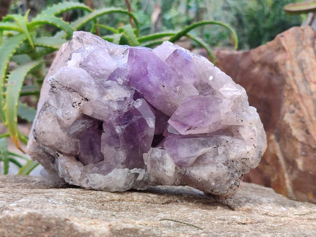Natural Jacaranda Amethyst Geode x 1 From Zambia - Toprock Gemstones and Minerals 