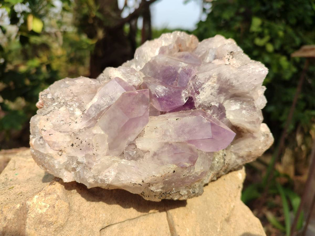 Natural Jacaranda Amethyst Geode x 1 From Zambia - Toprock Gemstones and Minerals 