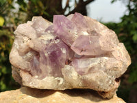 Natural Jacaranda Amethyst Geode x 1 From Zambia - Toprock Gemstones and Minerals 