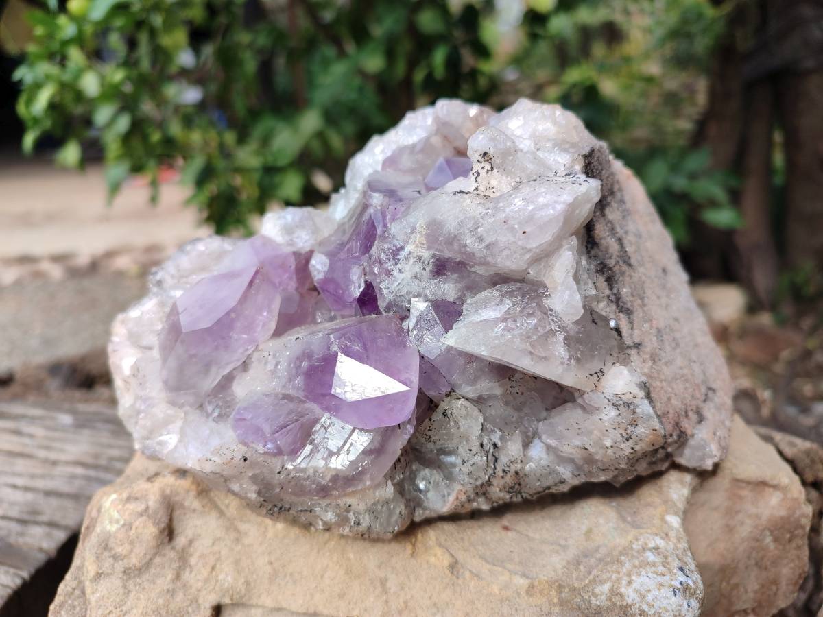 Natural Jacaranda Amethyst Geode x 1 From Zambia - Toprock Gemstones and Minerals 
