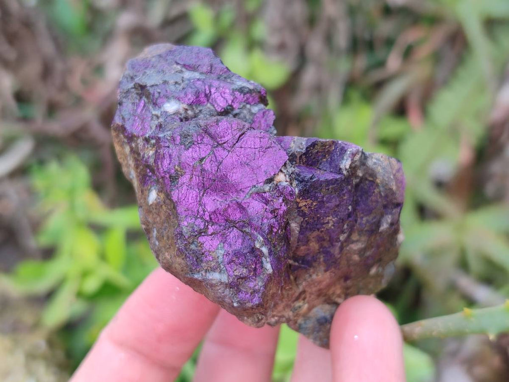 Natural Metallic Purpurite Specimens x 12 From Erongo, Namibia - Toprock Gemstones and Minerals 