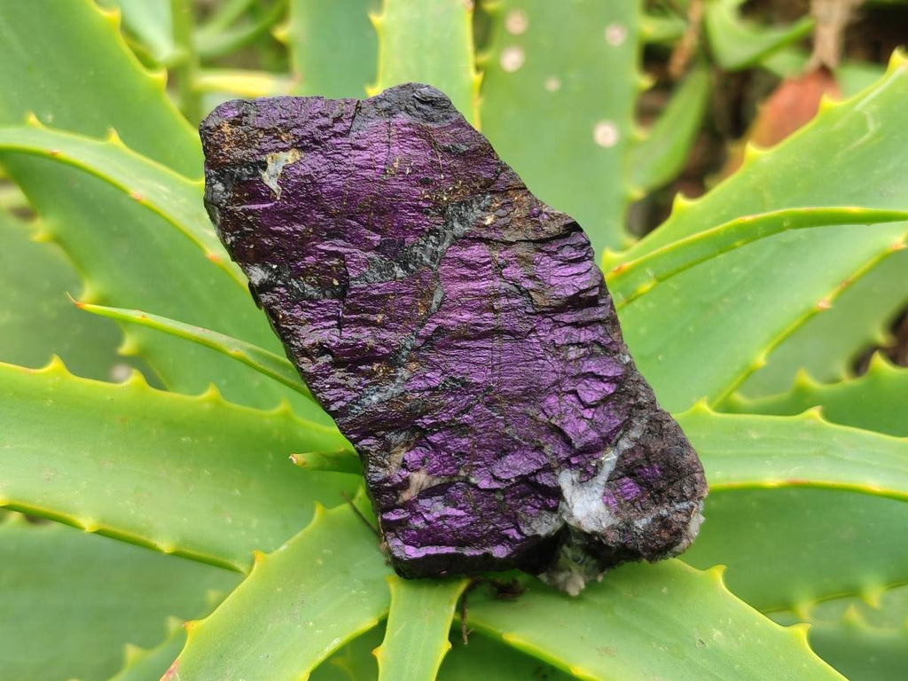 Natural Metallic Purpurite Specimens x 12 From Erongo, Namibia - Toprock Gemstones and Minerals 