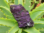 Natural Metallic Purpurite Specimens x 12 From Erongo, Namibia - Toprock Gemstones and Minerals 