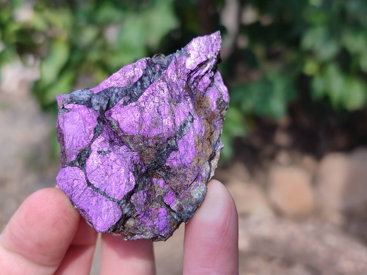 Natural Metallic Purpurite Specimens x 12 From Erongo, Namibia - Toprock Gemstones and Minerals 