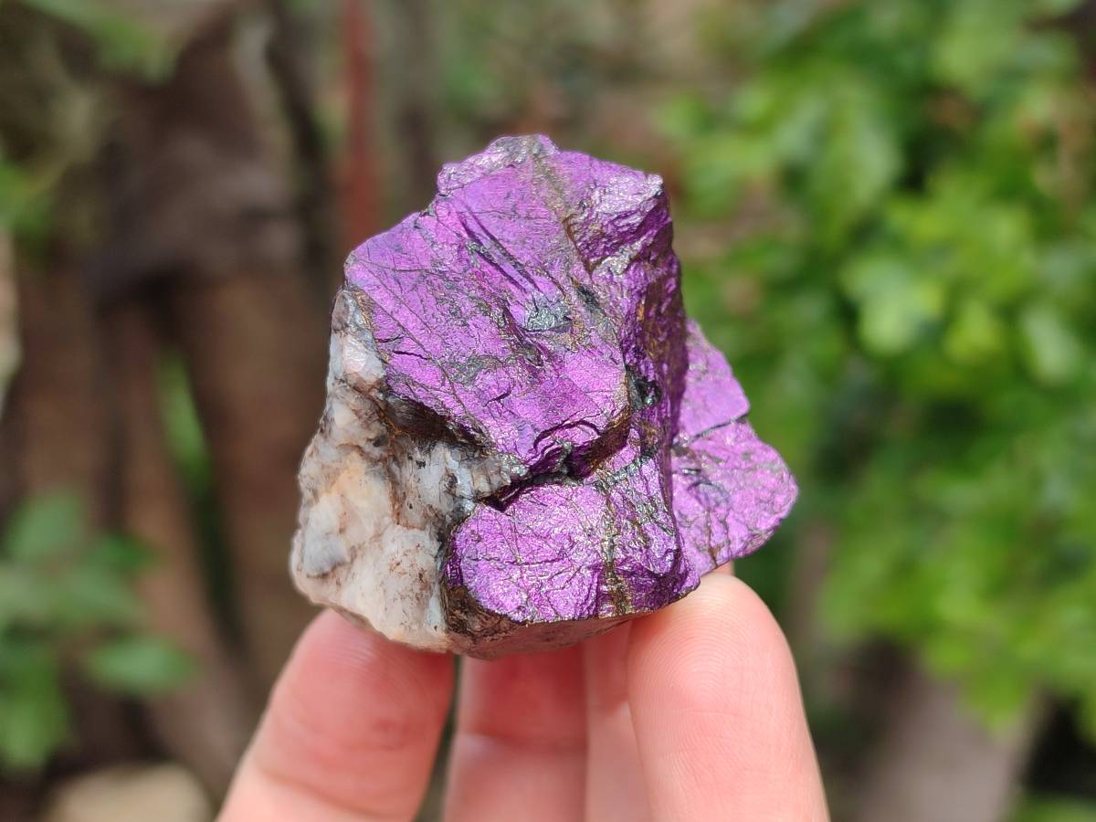 Natural Metallic Purpurite Specimens x 12 From Erongo, Namibia - Toprock Gemstones and Minerals 