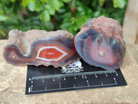 Polished On One Side Red Sashe River Agate Nodules x 24 From Zimbabwe - Toprock Gemstones and Minerals 
