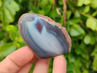 Polished On One Side Red Sashe River Agate Nodules x 24 From Zimbabwe - Toprock Gemstones and Minerals 