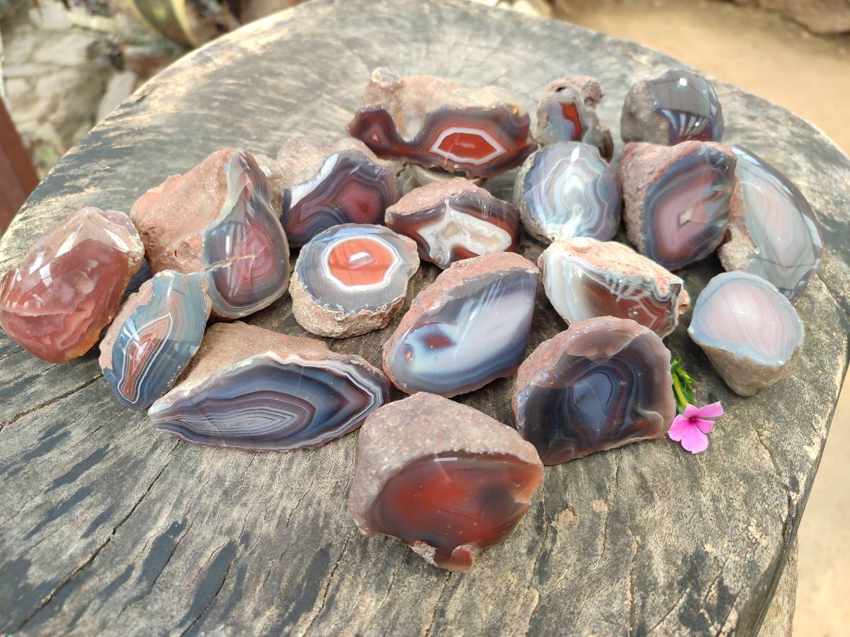 Polished On One Side Red Sashe River Agate Nodules x 24 From Zimbabwe - Toprock Gemstones and Minerals 