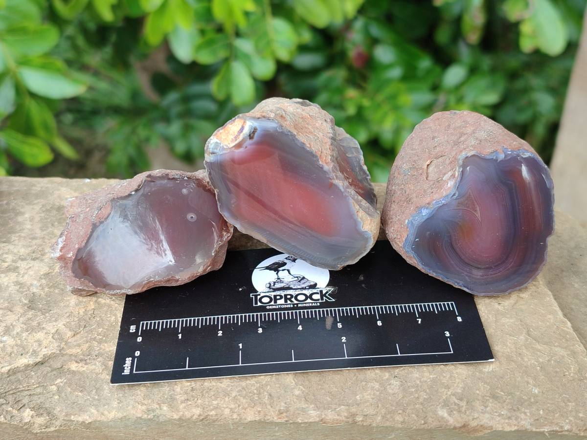 Polished On One Side Red Sashe River Agate Nodules x 24 From Zimbabwe - Toprock Gemstones and Minerals 