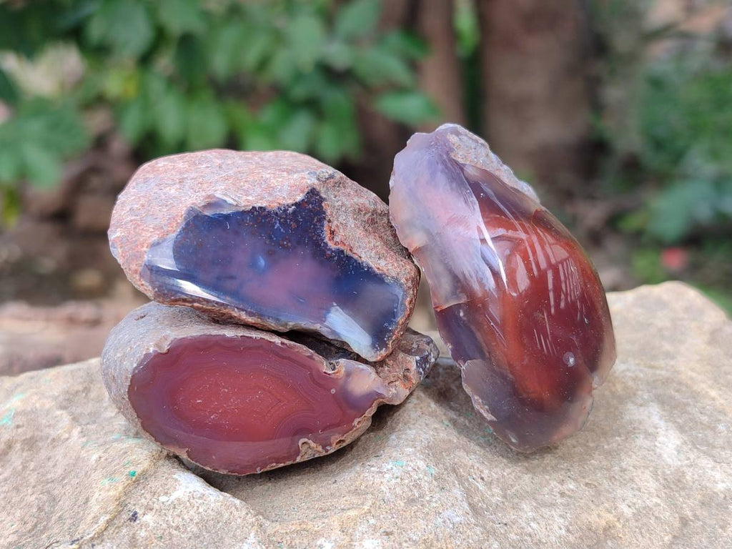 Polished On One Side Red Sashe River Agate Nodules x 24 From Zimbabwe - Toprock Gemstones and Minerals 