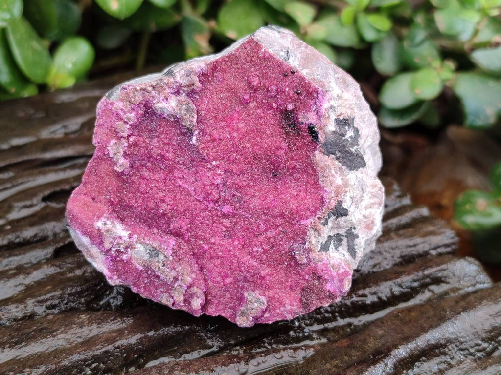 Natural Salrose Cobaltion Dolomite Specimens x 6 From Kakanda, Congo - Toprock Gemstones and Minerals 