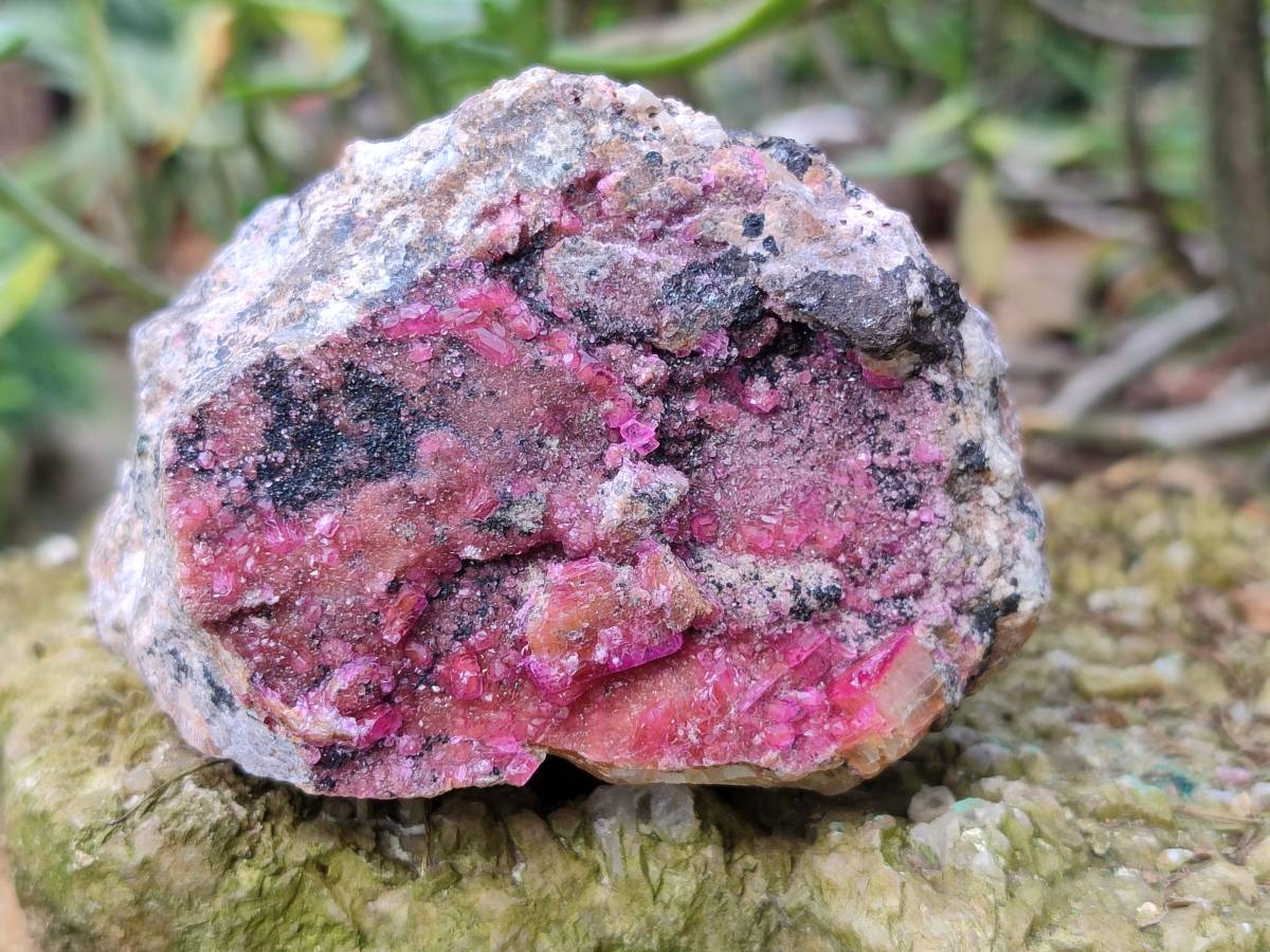 Natural Salrose Cobaltion Dolomite Specimens x 6 From Kakanda, Congo - Toprock Gemstones and Minerals 