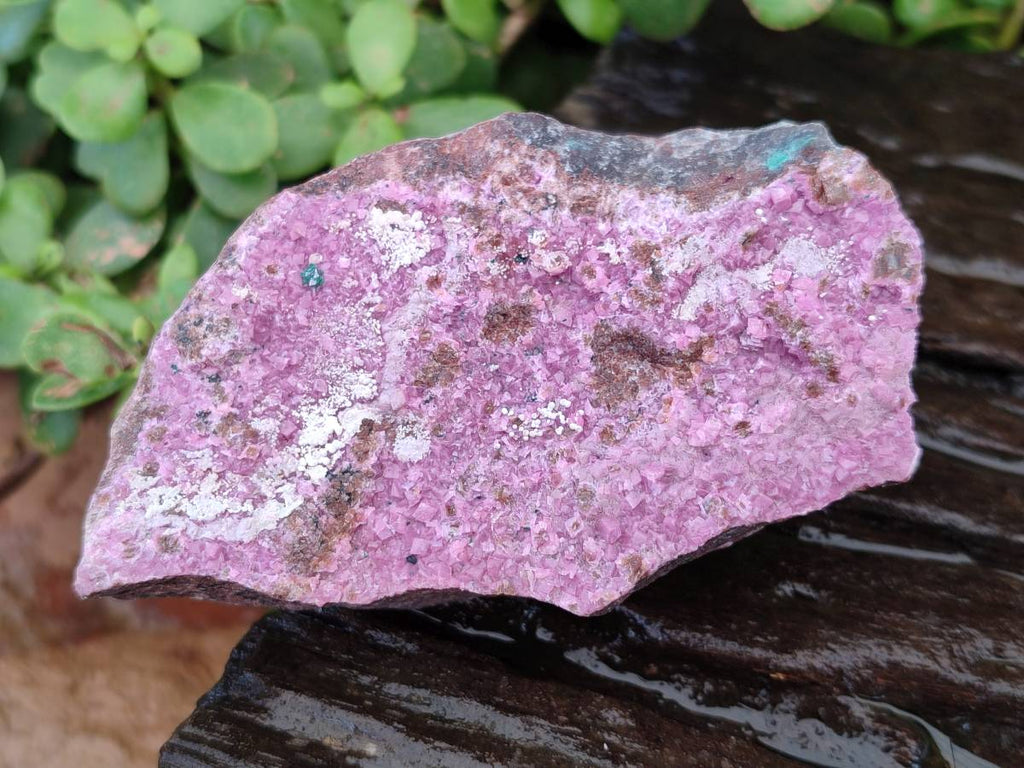 Natural Salrose Cobaltion Dolomite Specimens x 6 From Kakanda, Congo - Toprock Gemstones and Minerals 