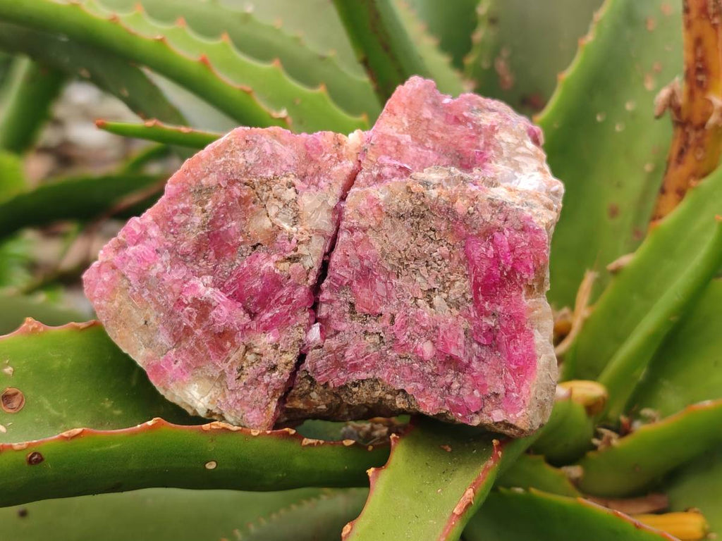Natural Salrose Cobaltion Dolomite Specimens x 6 From Kakanda, Congo - Toprock Gemstones and Minerals 