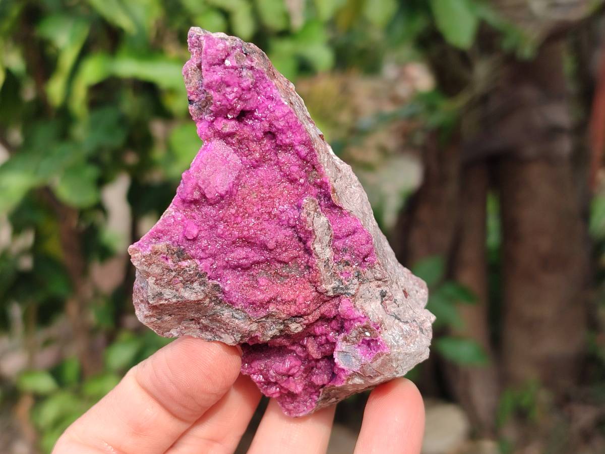 Natural Salrose Cobaltion Dolomite Specimens x 6 From Kakanda, Congo - Toprock Gemstones and Minerals 