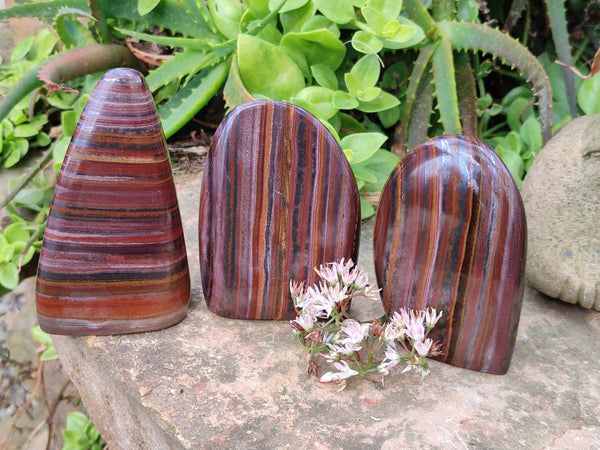 Polished Banded Tiger Iron Standing Free Forms x 3 From South Africa