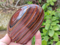 Polished Banded Tiger Iron Standing Free Forms x 3 From South Africa - Toprock Gemstones and Minerals 