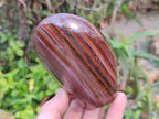 Polished Banded Tiger Iron Standing Free Forms x 3 From South Africa - Toprock Gemstones and Minerals 