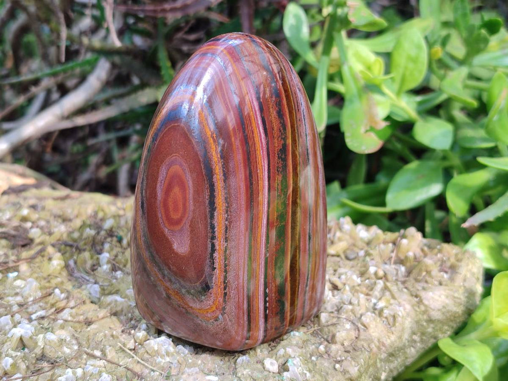 Polished Banded Tiger Iron Standing Free Forms x 3 From South Africa - Toprock Gemstones and Minerals 