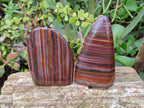Polished Banded Tiger Iron Standing Free Forms x 3 From South Africa - Toprock Gemstones and Minerals 