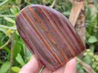 Polished Banded Tiger Iron Standing Free Forms x 3 From South Africa - Toprock Gemstones and Minerals 