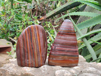 Polished Banded Tiger Iron Standing Free Forms x 3 From South Africa - Toprock Gemstones and Minerals 
