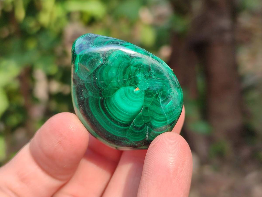 Polished Flower Malachite Free Forms x 35 From Congo - Toprock Gemstones and Minerals 