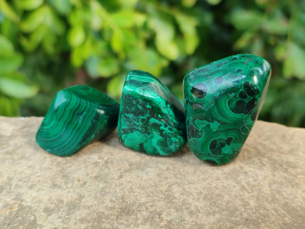 Polished Flower Malachite Free Forms x 35 From Congo - Toprock Gemstones and Minerals 