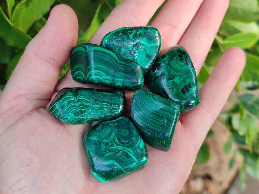Polished Flower Malachite Free Forms x 35 From Congo - Toprock Gemstones and Minerals 
