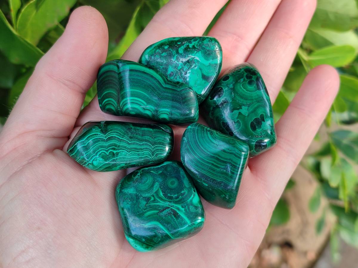 Polished Flower Malachite Free Forms x 35 From Congo - Toprock Gemstones and Minerals 