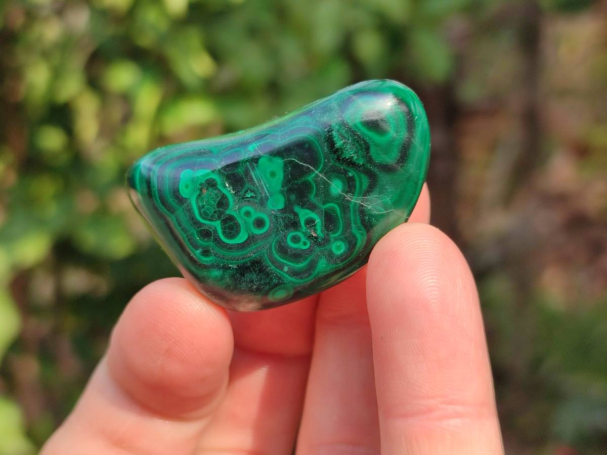 Polished Flower Malachite Free Forms x 35 From Congo - Toprock Gemstones and Minerals 
