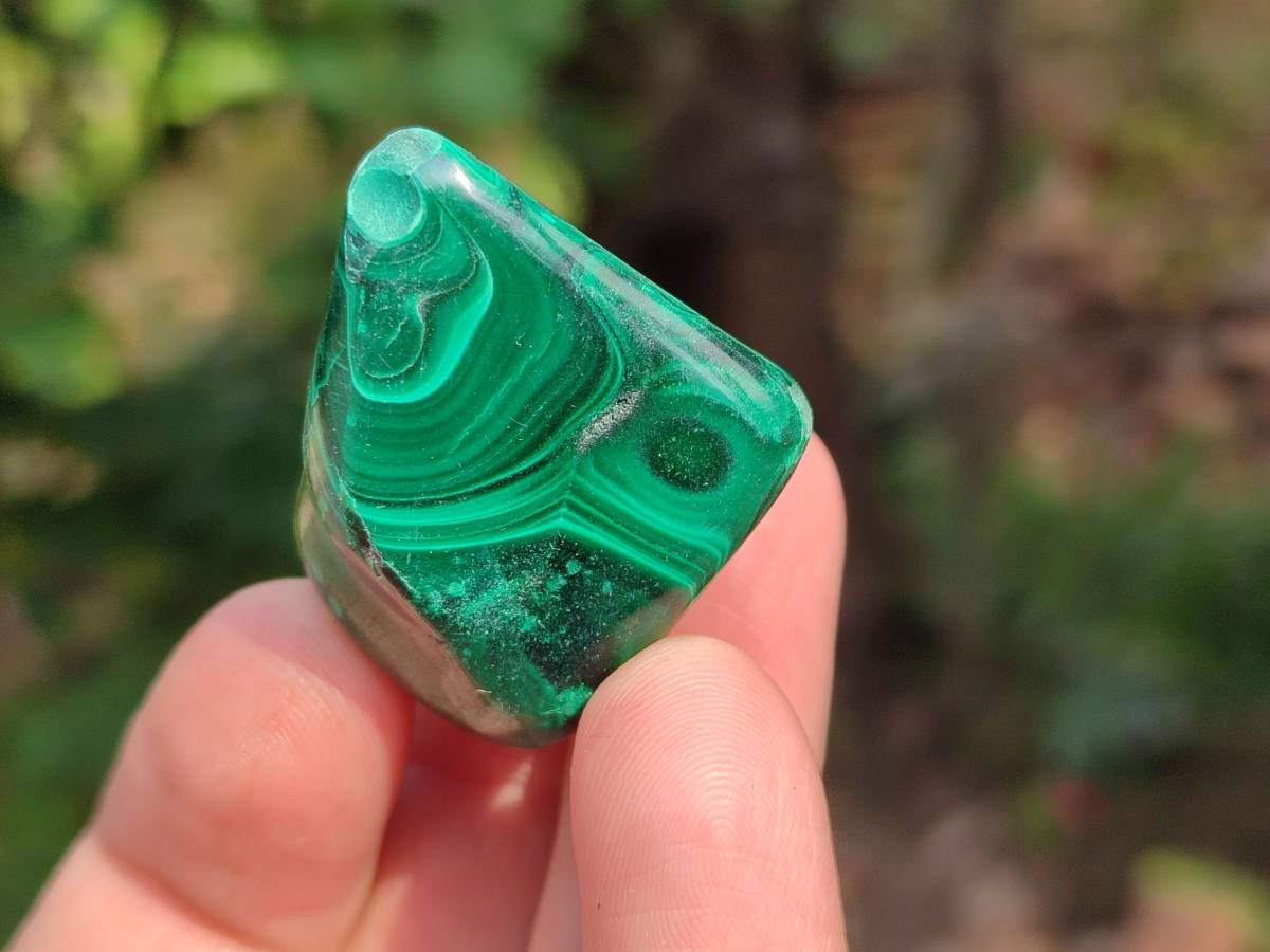 Polished Flower Malachite Free Forms x 35 From Congo - Toprock Gemstones and Minerals 