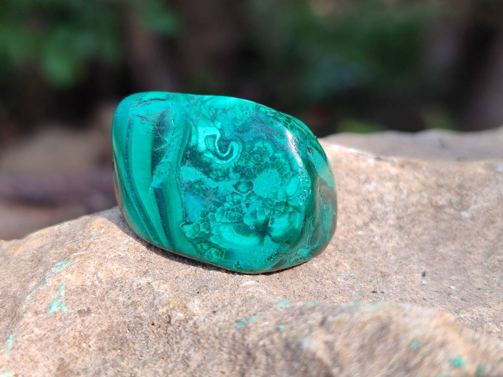 Polished Flower Malachite Free Forms x 35 From Congo - Toprock Gemstones and Minerals 