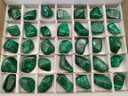 Polished Flower Malachite Free Forms x 35 From Congo - Toprock Gemstones and Minerals 
