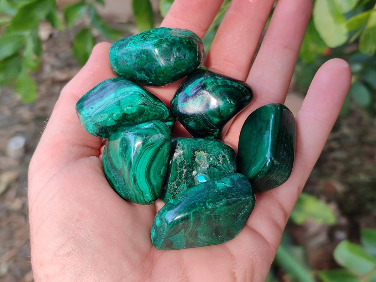 Polished Flower Malachite Free Forms x 35 From Congo - Toprock Gemstones and Minerals 