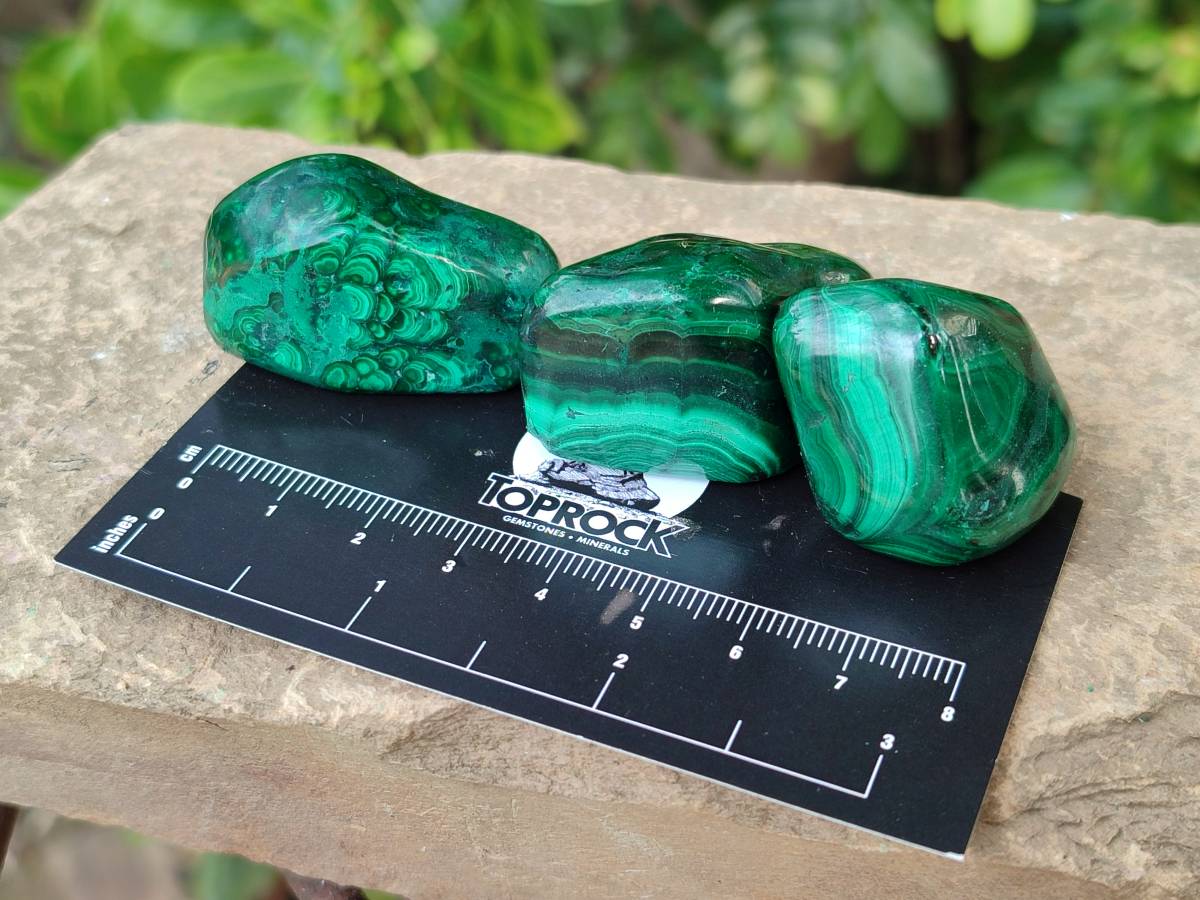 Polished Flower Malachite Free Forms x 35 From Congo - Toprock Gemstones and Minerals 