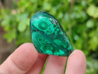 Polished Flower Malachite Free Forms x 35 From Congo - Toprock Gemstones and Minerals 