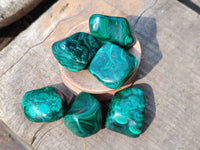 Polished Flower Malachite Free Forms x 35 From Congo - Toprock Gemstones and Minerals 