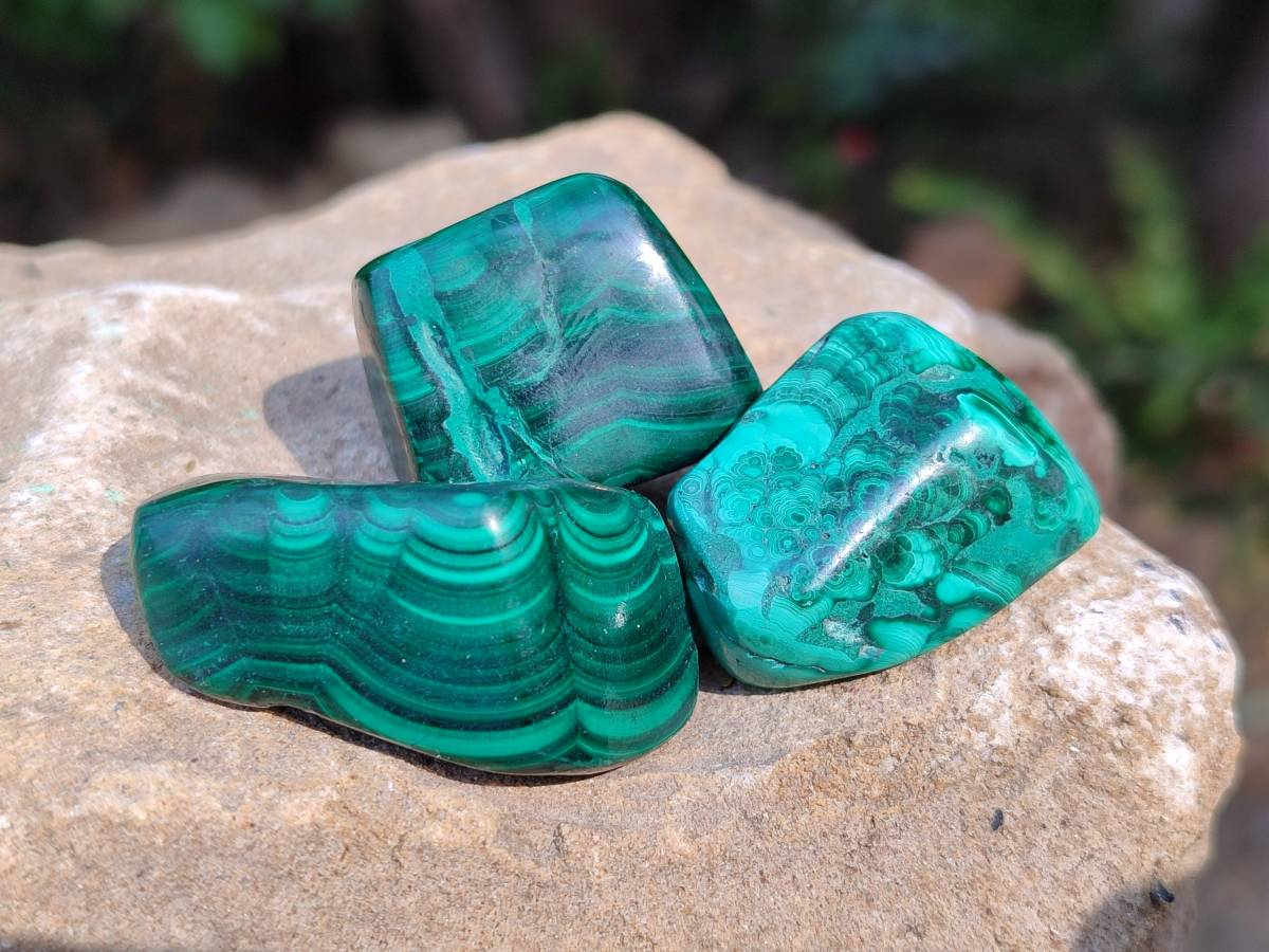 Polished Flower Malachite Free Forms x 35 From Congo - Toprock Gemstones and Minerals 