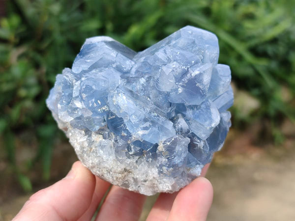 Natural Celestite Specimens x 2 From Sakoany, Madagascar - Toprock Gemstones and Minerals 